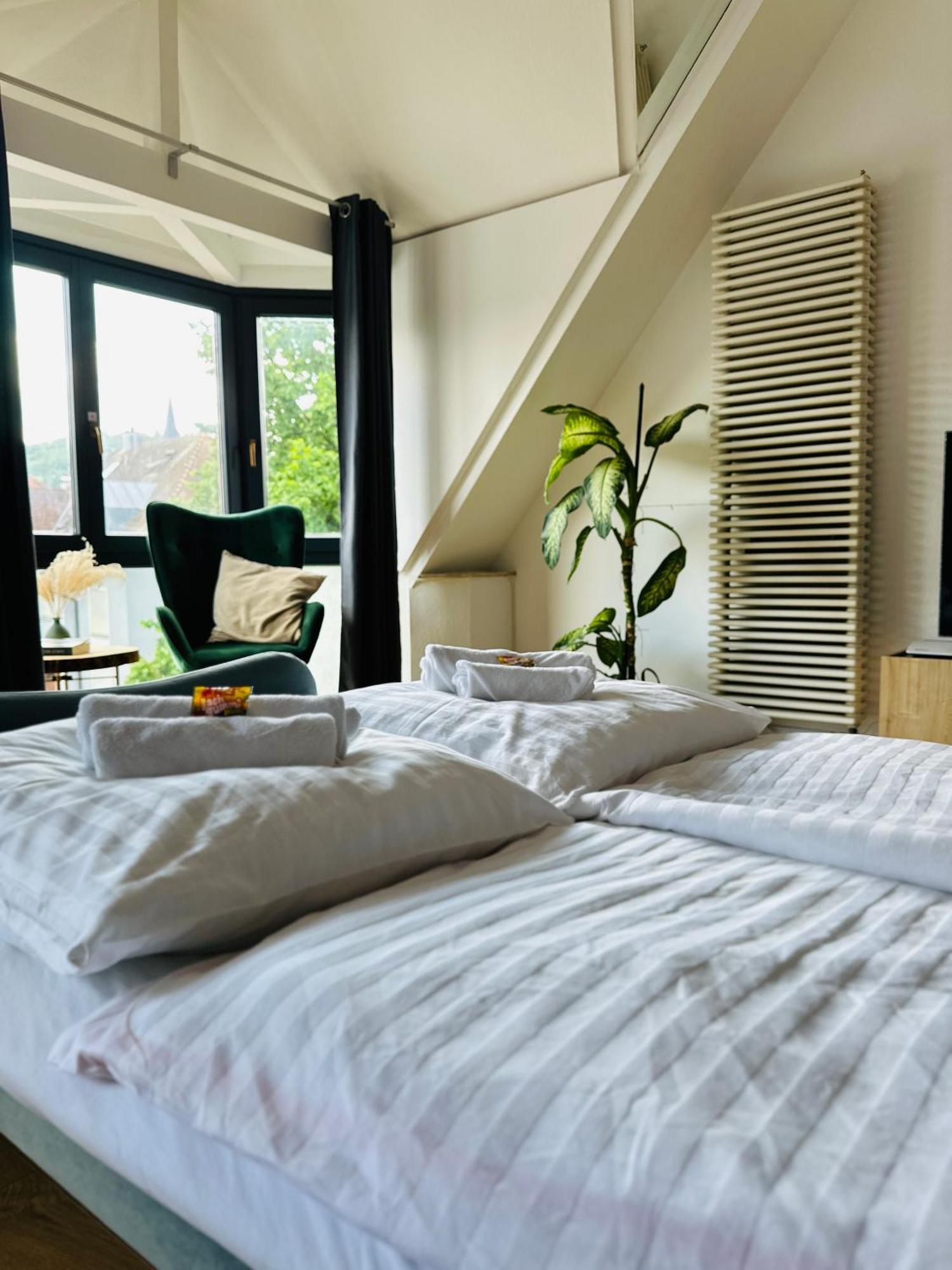 Amao-Green I 90Qm I Penthouse Maisonette Mit Rooftop I City Center I King-Size Betten Lahr  Eksteriør billede