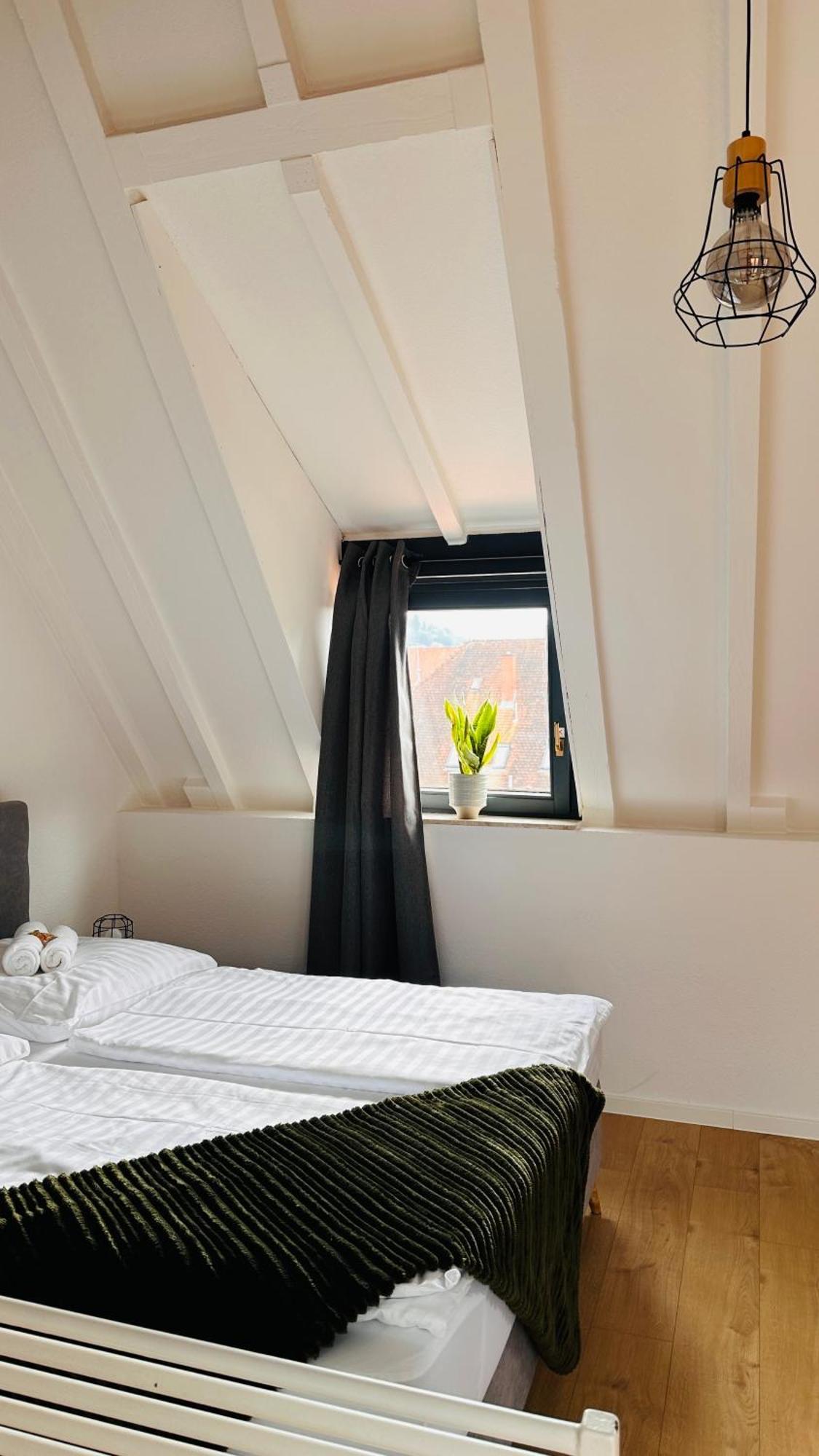 Amao-Green I 90Qm I Penthouse Maisonette Mit Rooftop I City Center I King-Size Betten Lahr  Eksteriør billede